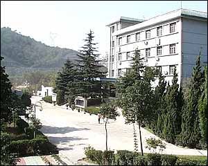 ���ϳɴ߻���